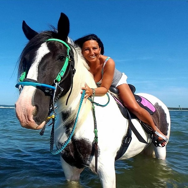 Anna Maria Island Horseback Riding - AMI Rentals