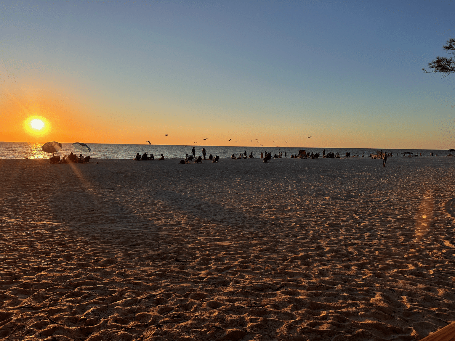 Anna Maria Island Is Back And Better Than Ever: Welcome To Spring Break ...