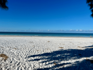 Exploring Anna Maria Island: The Ultimate Guide to Your Sunshine Getaway