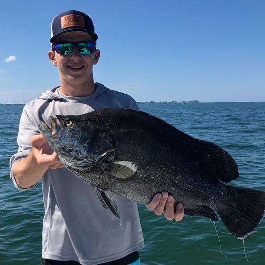Tripletail caught with fishing charter near Anna Maria Island